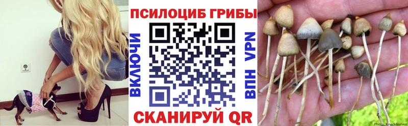 Галлюциногенные грибы Magic Shrooms  Новосиль 