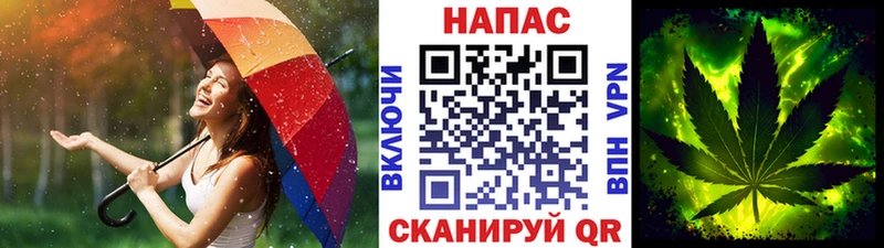 Каннабис семена  купить  сайты  Новосиль 